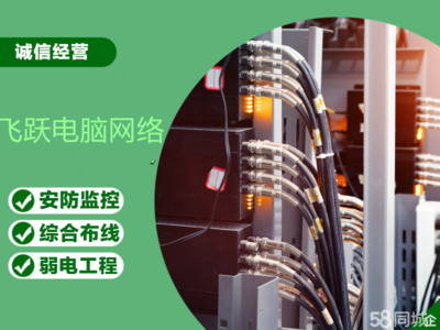 出入口控制 计算机系统集成与技术维护的现代应用