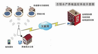 志恒智能水产养殖监控系统 计算机系统集成与技术维护